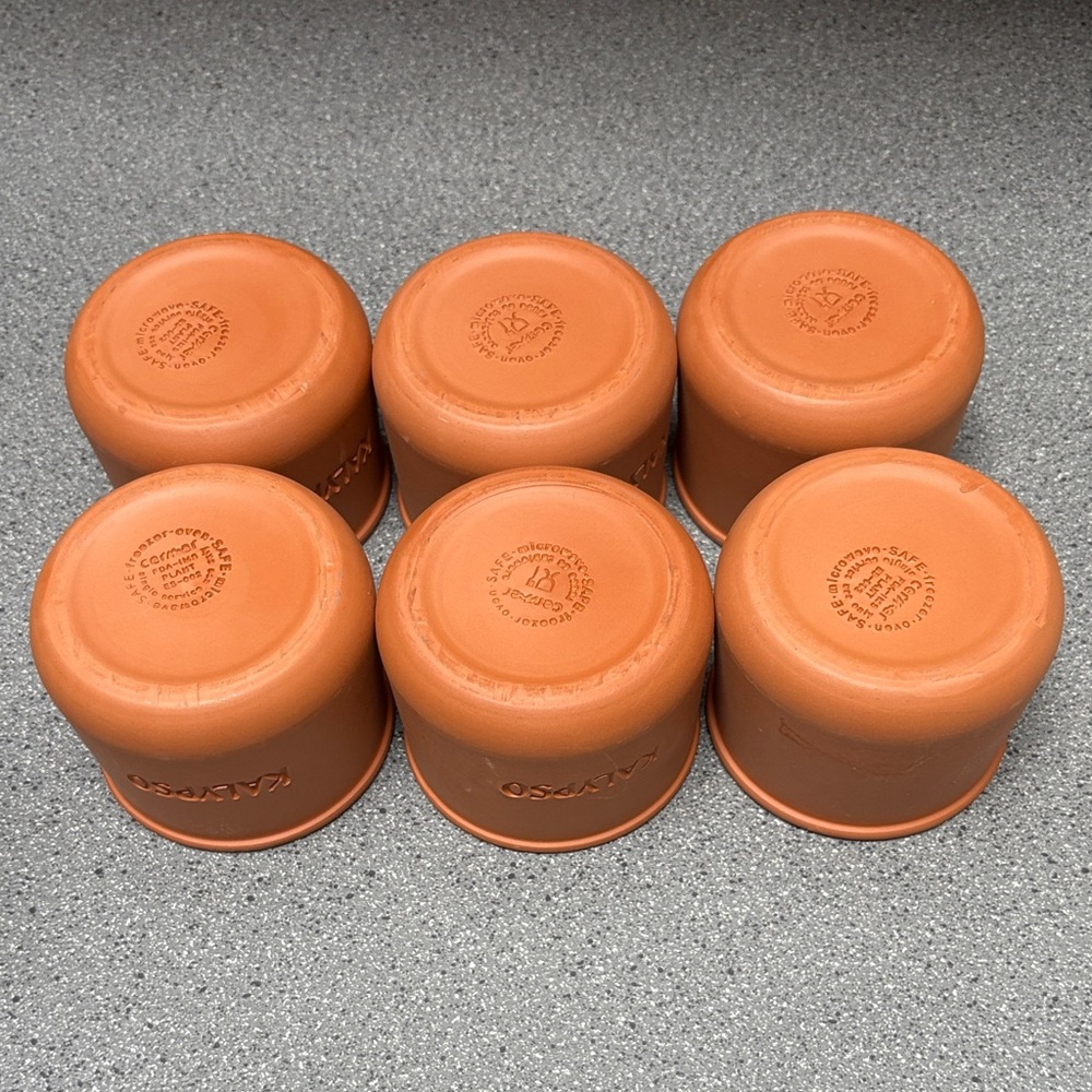 Kalypso Terracotta Yogurt Cups / Planters Set of 6 - Picture 4 of 5
